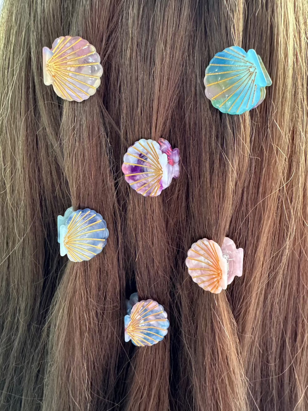 Sea Shell Mini Hair Claw Set(6pcs)