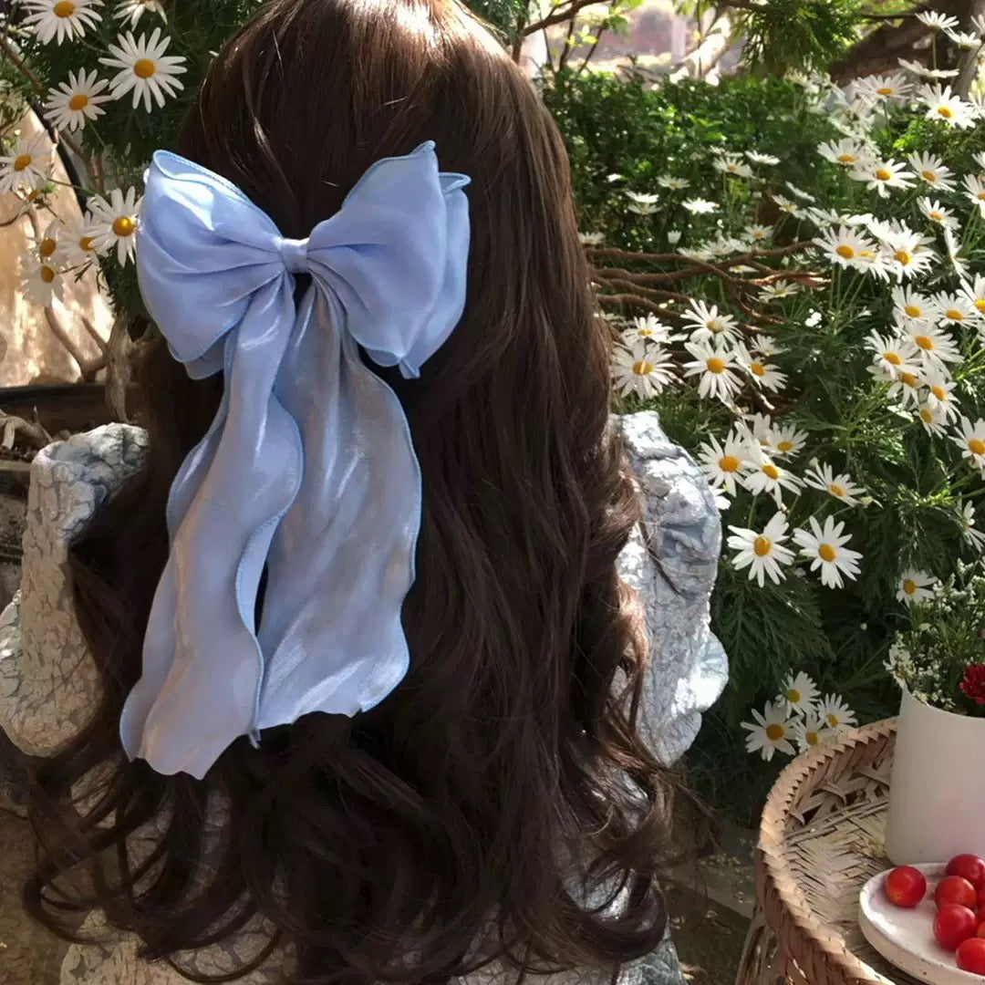 Bow 🎀 Ribbon Hair Clip