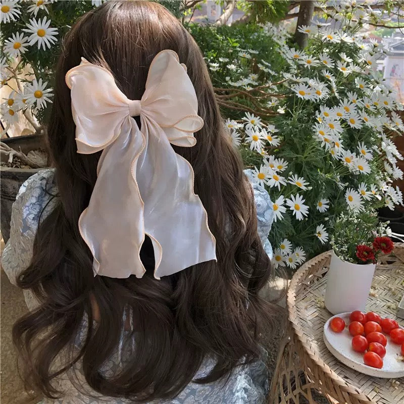 Bow 🎀 Ribbon Hair Clip
