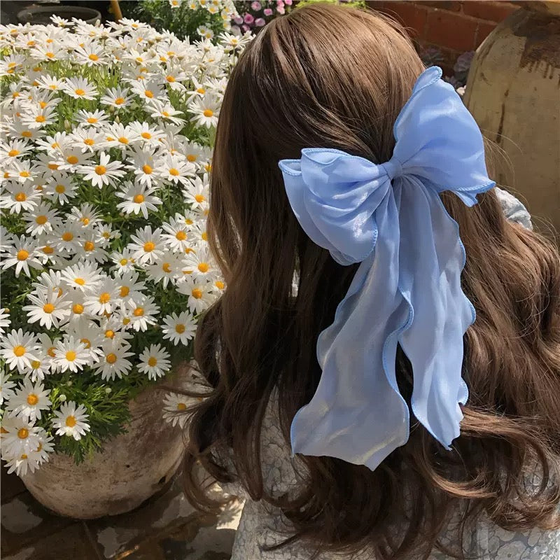 Bow 🎀 Ribbon Hair Clip