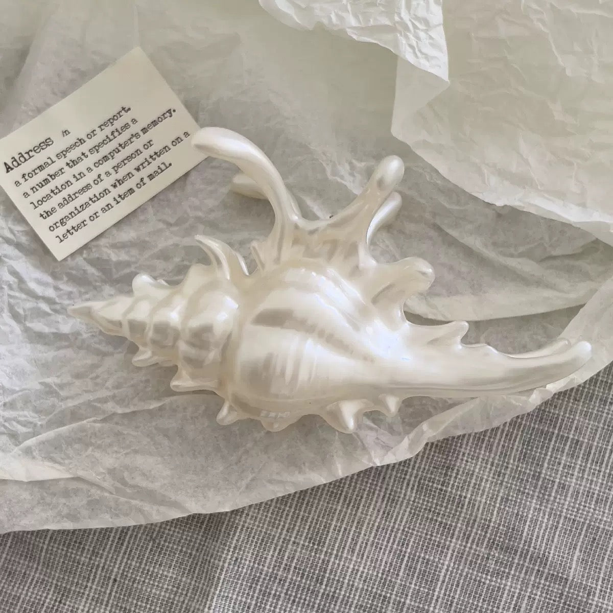 Shell Conch Hair Claw