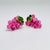 Red grapes earrings