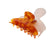 Amber Big Claw