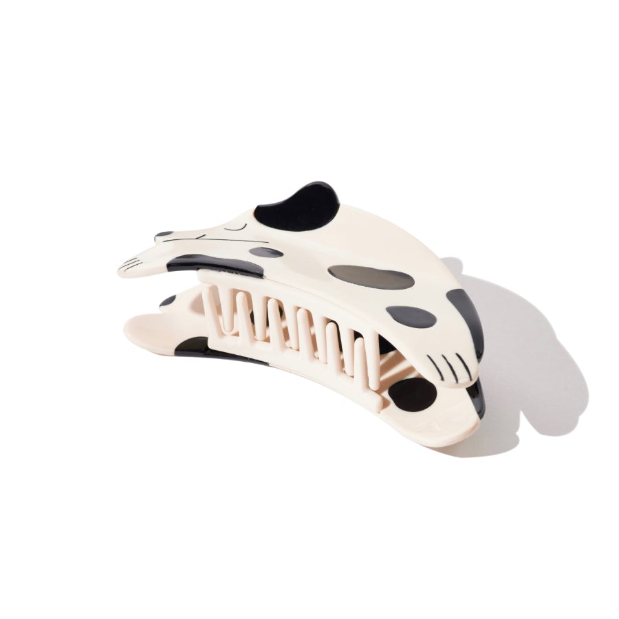 Curious Dalmatian Dog Hair Claw