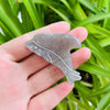 dolphin Mini Claw within Grey