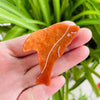 dolphin Mini Claw within Orange