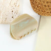 beach shells Claw